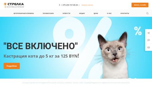 Скриншот сайта