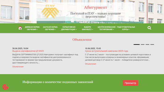 Скриншот сайта