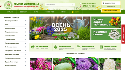 Скриншот сайта