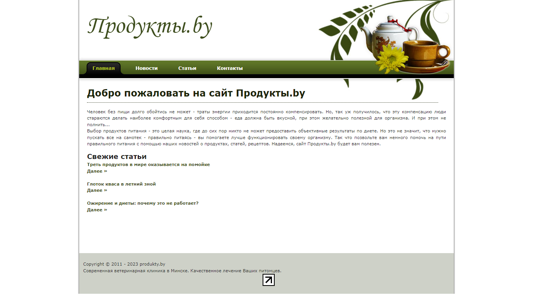 Скриншот сайта