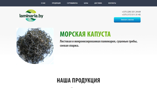 Скриншот сайта