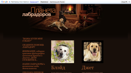 Скриншот сайта