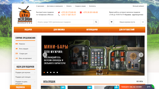 Скриншот сайта