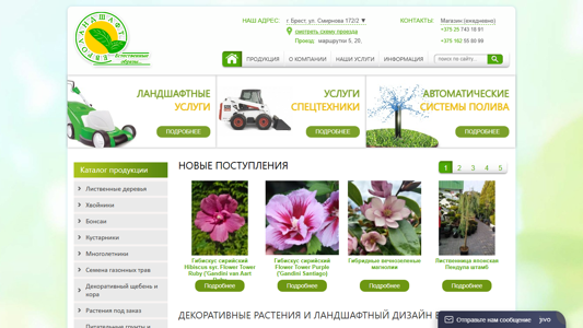 Скриншот сайта