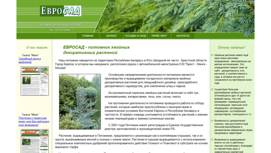 Скриншот сайта