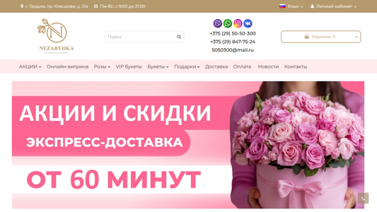 Скриншот сайта