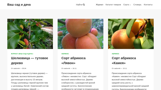 Скриншот сайта