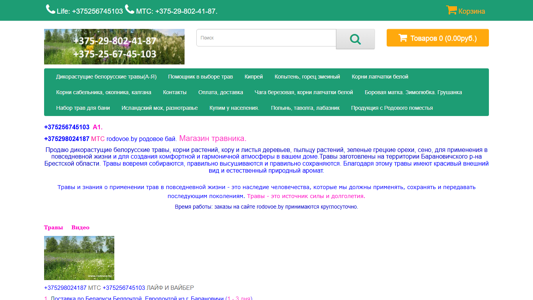 Скриншот сайта