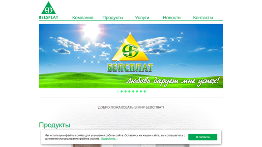 Скриншот сайта