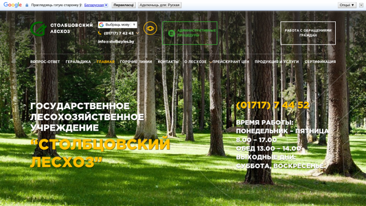 Скриншот сайта