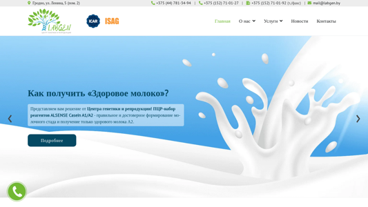 Скриншот сайта