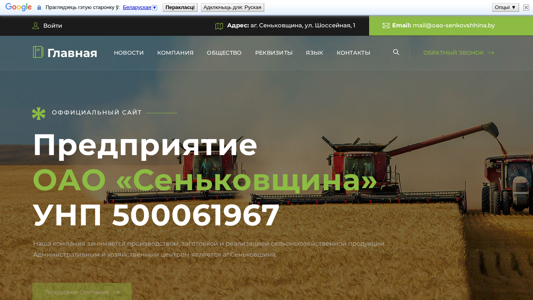 Скриншот сайта