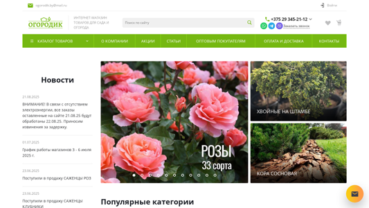Скриншот сайта