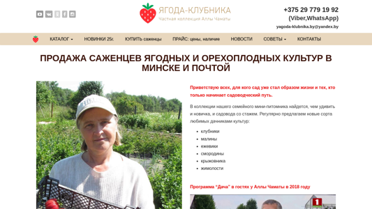 Скриншот сайта
