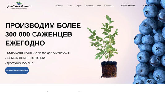 Скриншот сайта