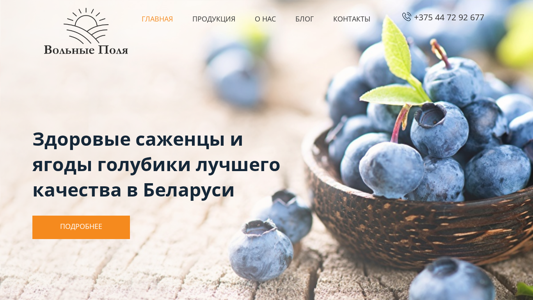 Скриншот сайта