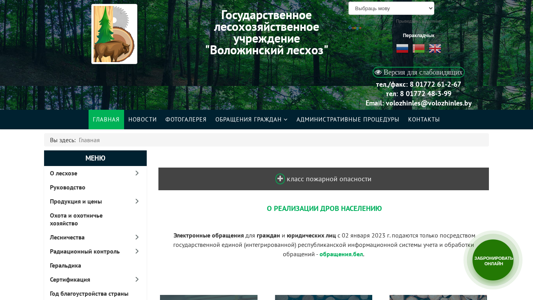 Скриншот сайта