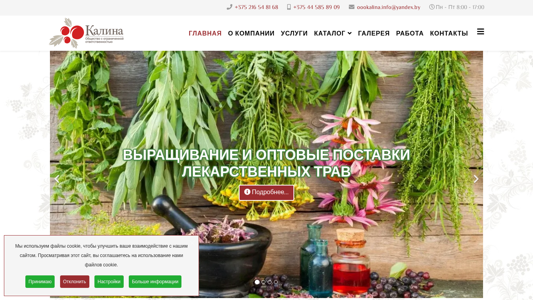 Скриншот сайта