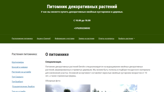 Скриншот сайта