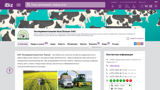 Скриншот сайта