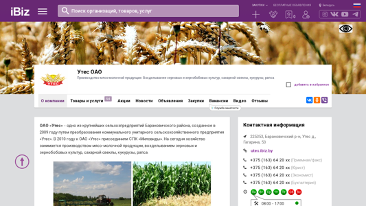 Скриншот сайта