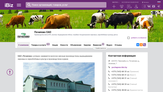 Скриншот сайта