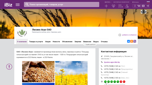 Скриншот сайта