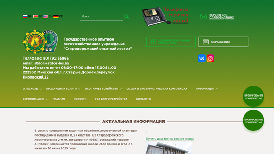 Скриншот сайта