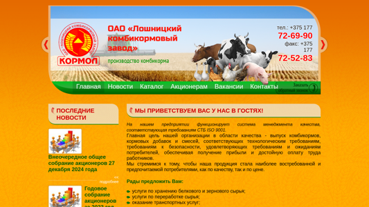 Скриншот сайта