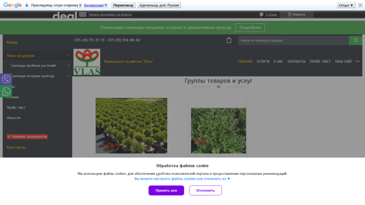 Скриншот сайта