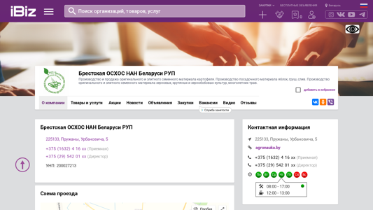 Скриншот сайта