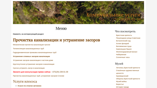 Скриншот сайта