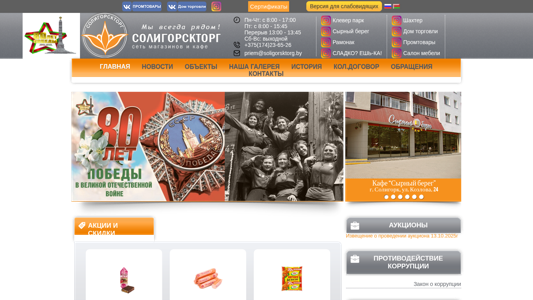 Скриншот сайта