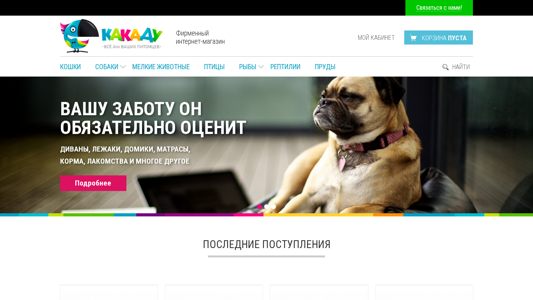 Скриншот сайта