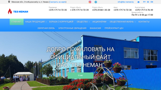 Скриншот сайта