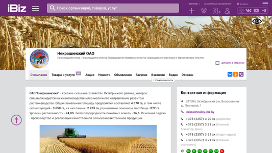 Скриншот сайта
