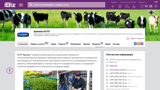 Скриншот сайта