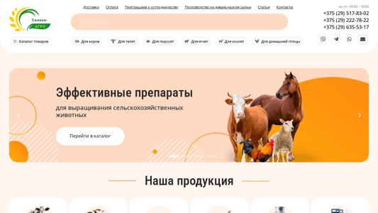 Скриншот сайта