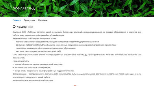 Скриншот сайта