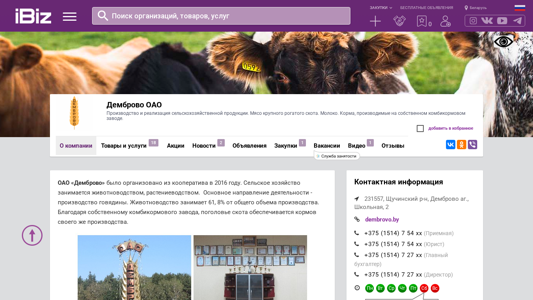 Скриншот сайта