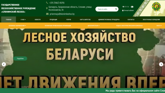 Скриншот сайта