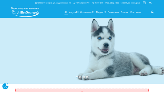 Скриншот сайта