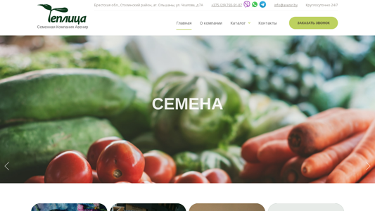 Скриншот сайта