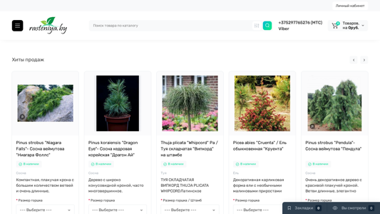 Скриншот сайта