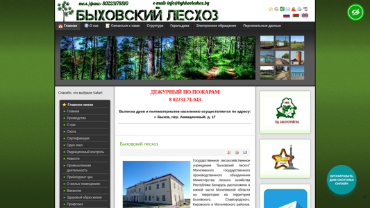 Скриншот сайта