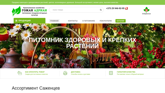 Скриншот сайта