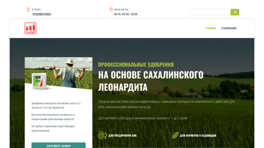 Скриншот сайта