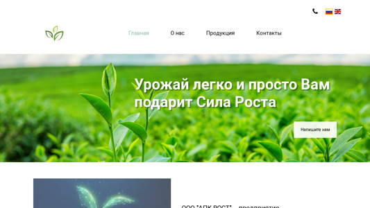 Скриншот сайта