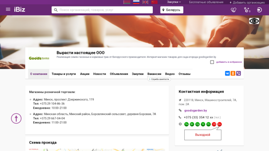Скриншот сайта