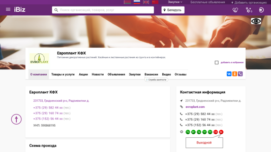 Скриншот сайта